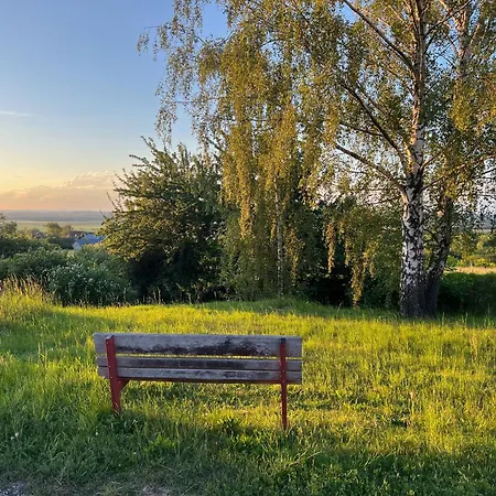 Tinyhouse Kank - Hébergement de vacances