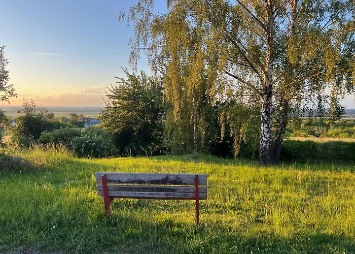Tinyhouse Kank - Hébergement de vacances